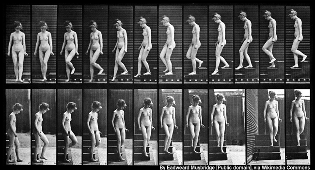 »Woman Walking Downstairs«, eine der Serienaufnahmen von Eadweard Muybridge